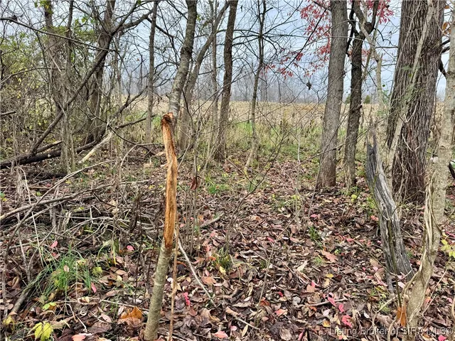 $695,000 | Apple Road, Tell City, IN 47586