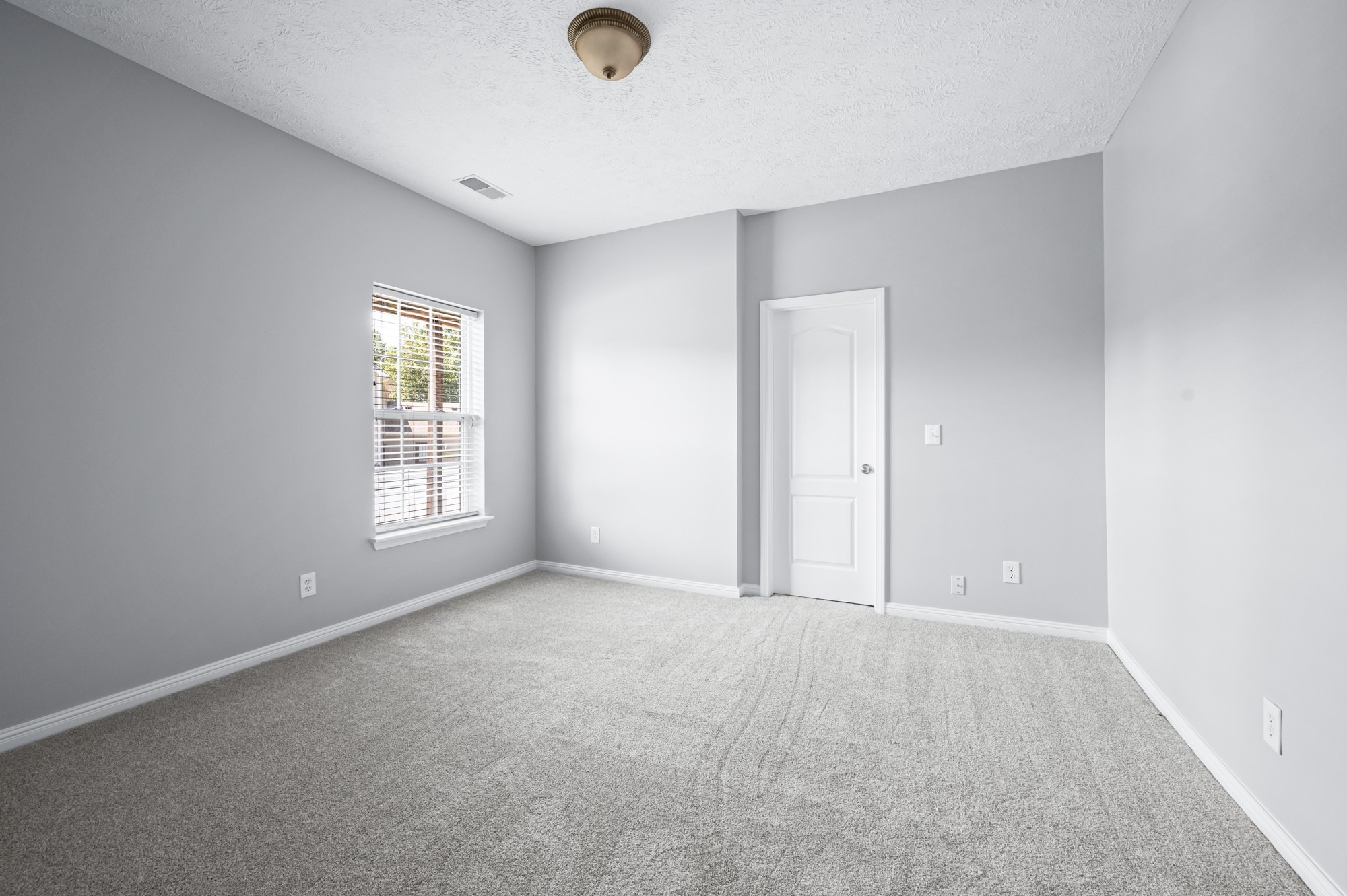 7203 Blue Ridge Drive Fairview, TN 37062 - Photo 44 of 65 an empty room with windows and closet