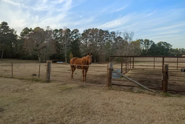 a view of a backyard