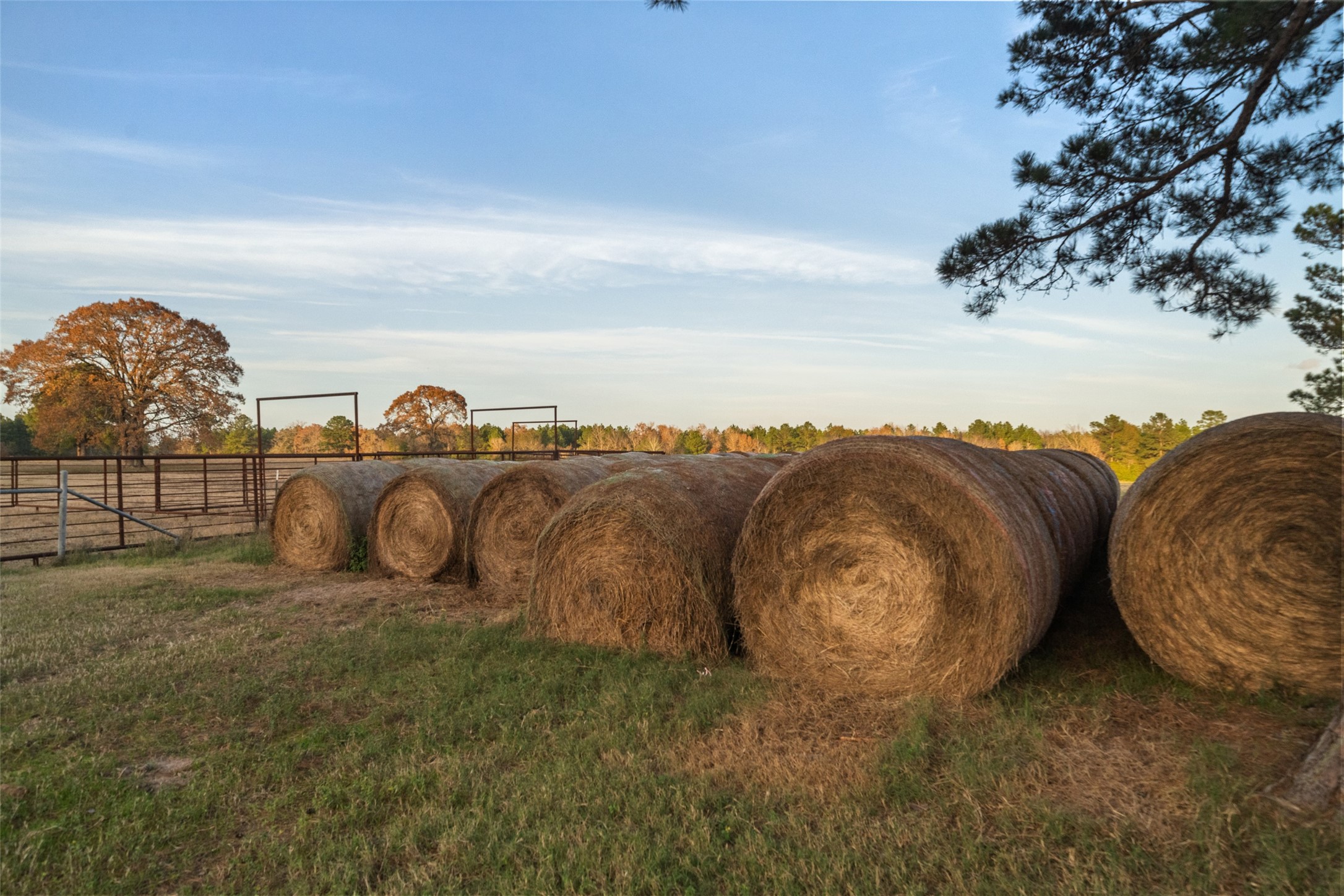 394 Farm To Market 230 Trinity, TX 75862 - Photo 27 of 34 a view of a backyard