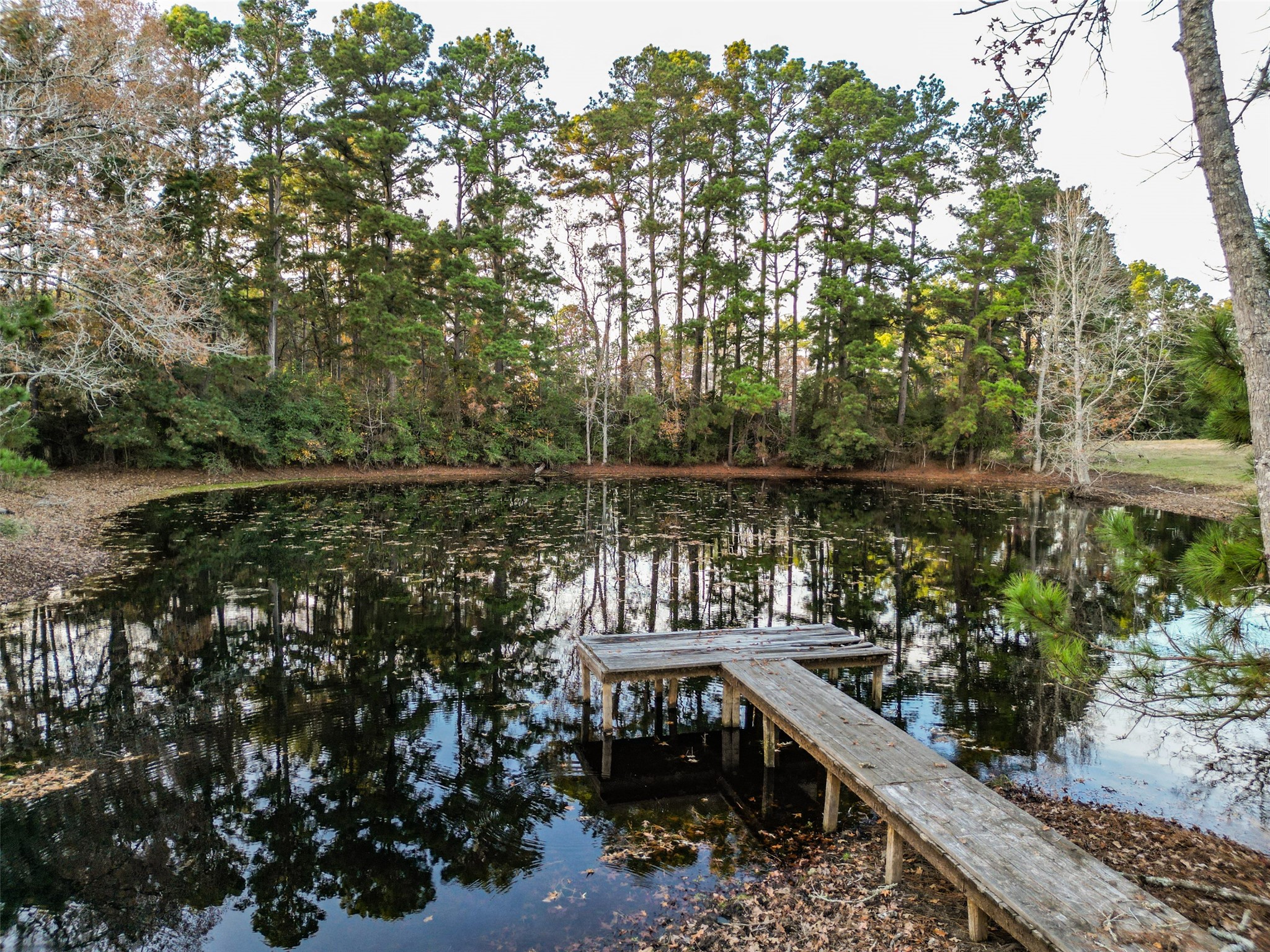 394 Farm To Market 230 Trinity, TX 75862 - Photo 28 of 34 a view of a lake with a house in the background