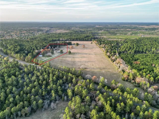 a view of a city with lots of bushes