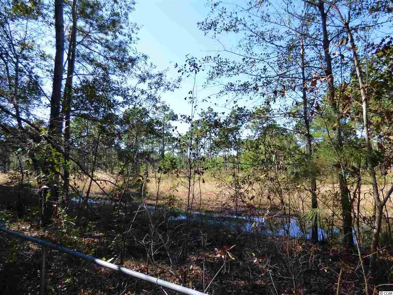 5104 County Rd S-22-749 Murrells Inlet, SC 29576 - Photo 5 of 14