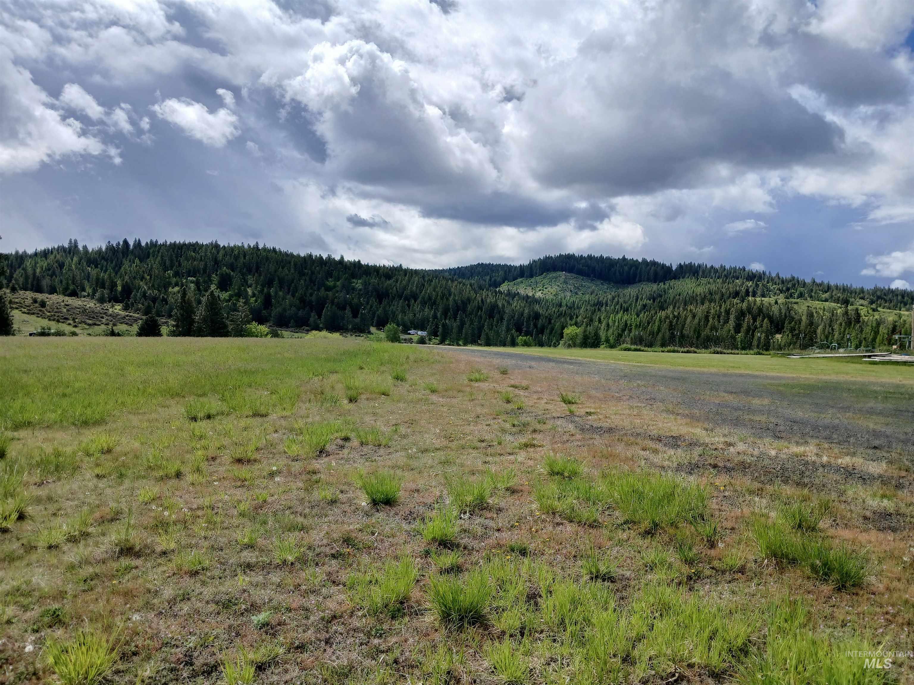 1076 Headrick Road Potlatch, ID 83855 - Photo 6 of 8 Expansive undeveloped land featuring natural grass, a gravel-like surface, and a backdrop of dense evergreen forests