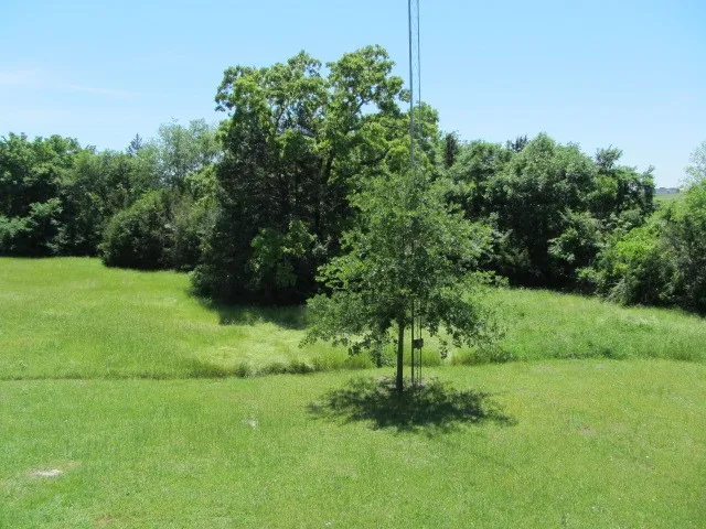 a view of green field