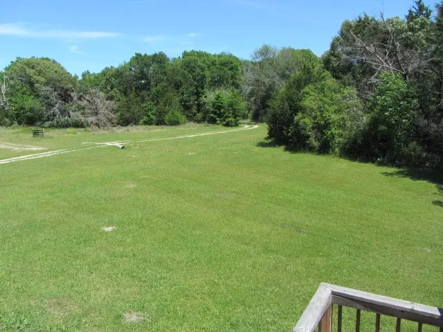 a view of a grassy field with trees in the background