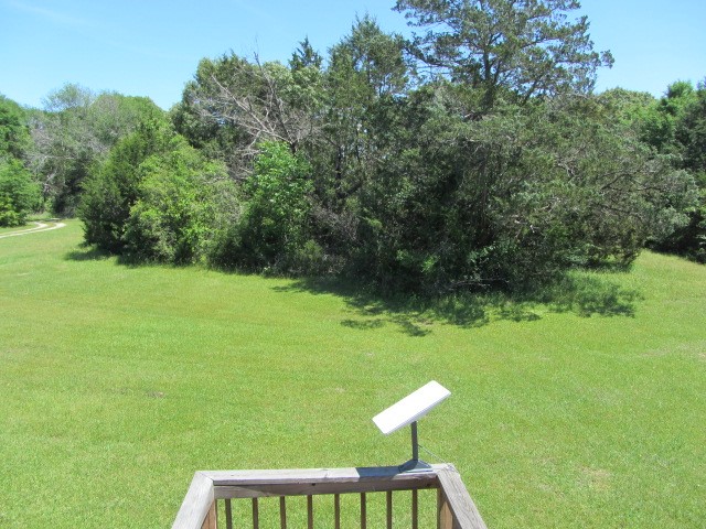 313 Jenkins Road Huntsville, TX 77320 - Photo 17 of 33