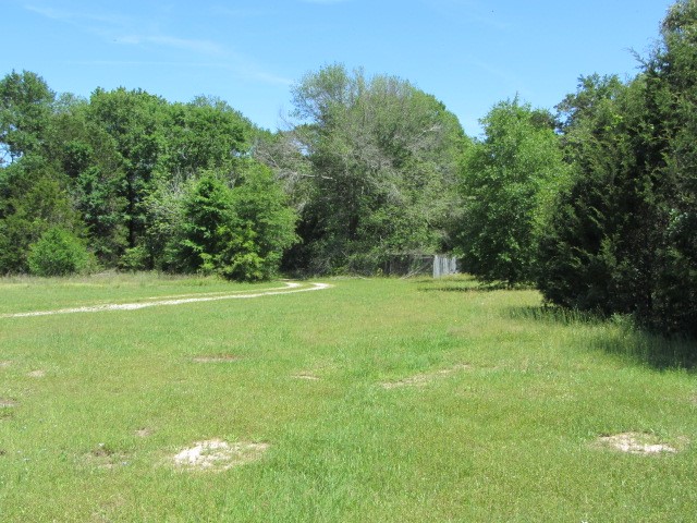 313 Jenkins Road Huntsville, TX 77320 - Photo 21 of 33 a view of green field with trees in the background