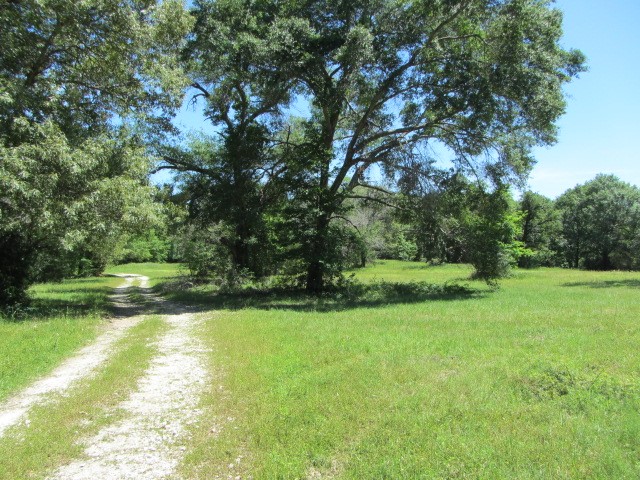 313 Jenkins Road Huntsville, TX 77320 - Photo 24 of 33 a view of yard with swimming pool and green space