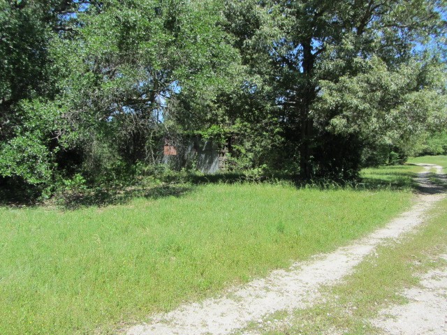 313 Jenkins Road Huntsville, TX 77320 - Photo 26 of 33 a view of a lake with a yard