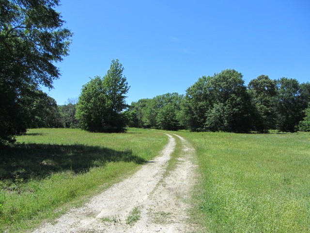 313 Jenkins Road Huntsville, TX 77320 - Photo 27 of 33 a view of a park with large trees
