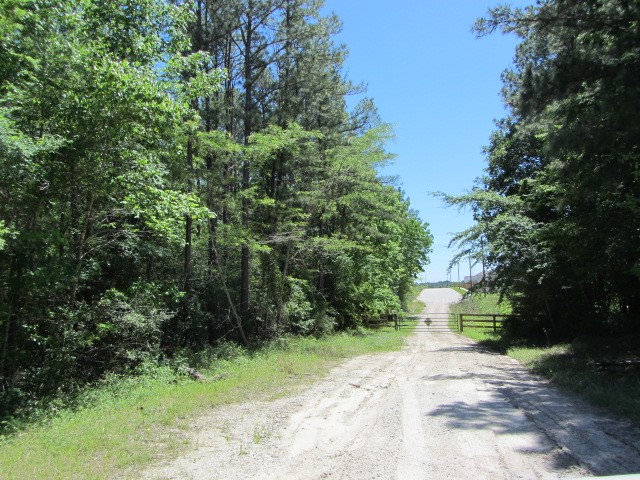 313 Jenkins Road Huntsville, TX 77320 - Photo 28 of 33 a view of a yard with plants and trees