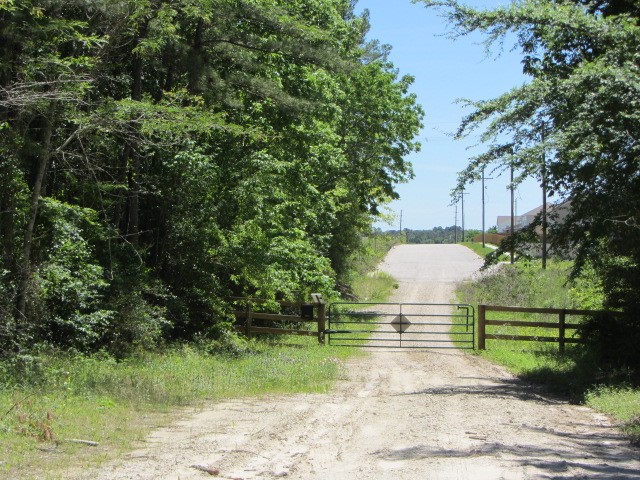 313 Jenkins Road Huntsville, TX 77320 - Photo 29 of 33 a view of a yard