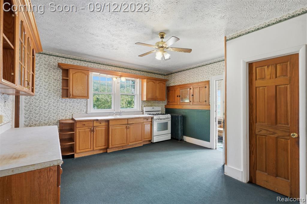 19701 Karr Road Belleville, MI 48111 - Photo 10 of 52 Gallery Image 10