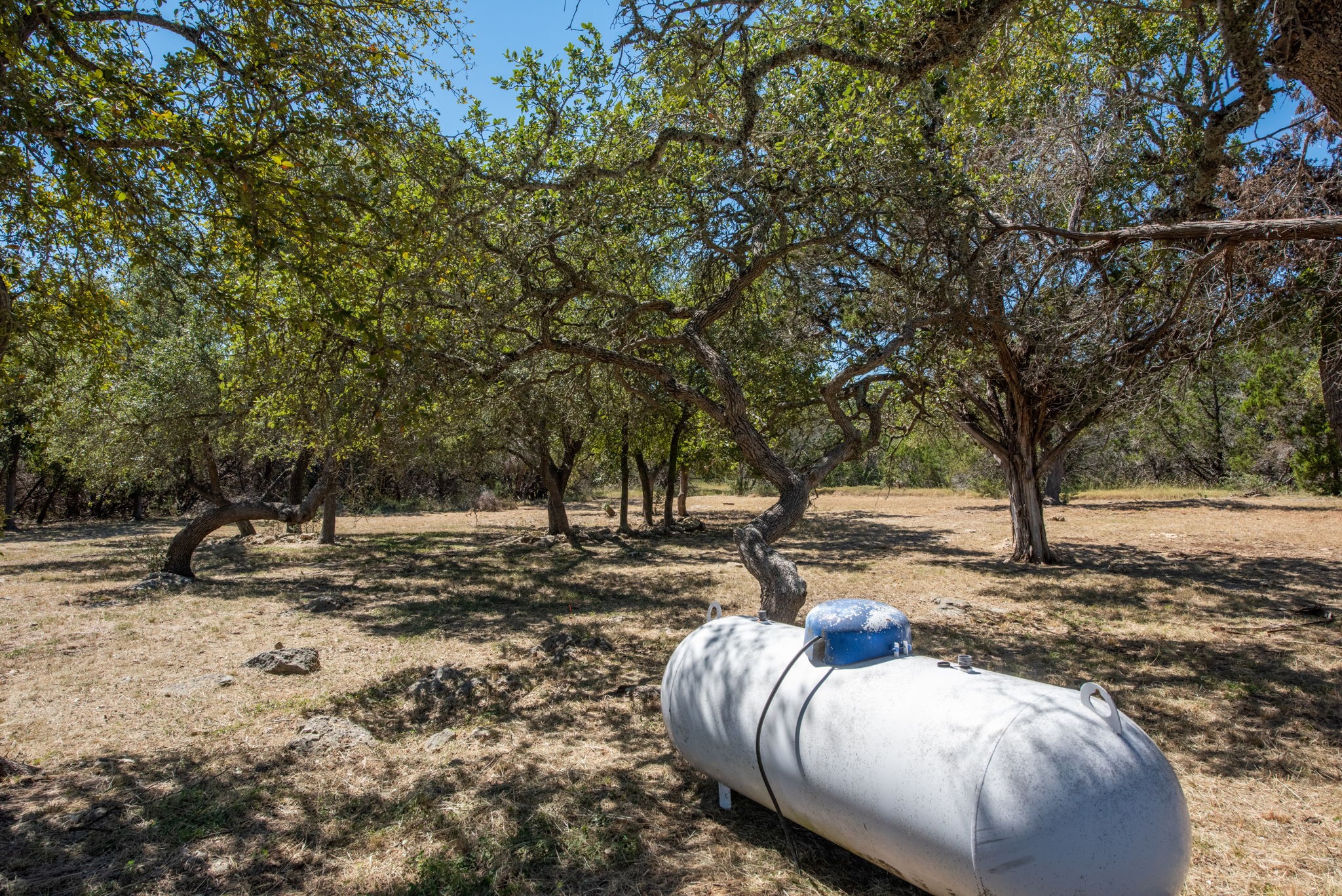 840 Forest View Drive Blanco, TX 78606 - Photo 13 of 32 a view of a backyard with table and chairs