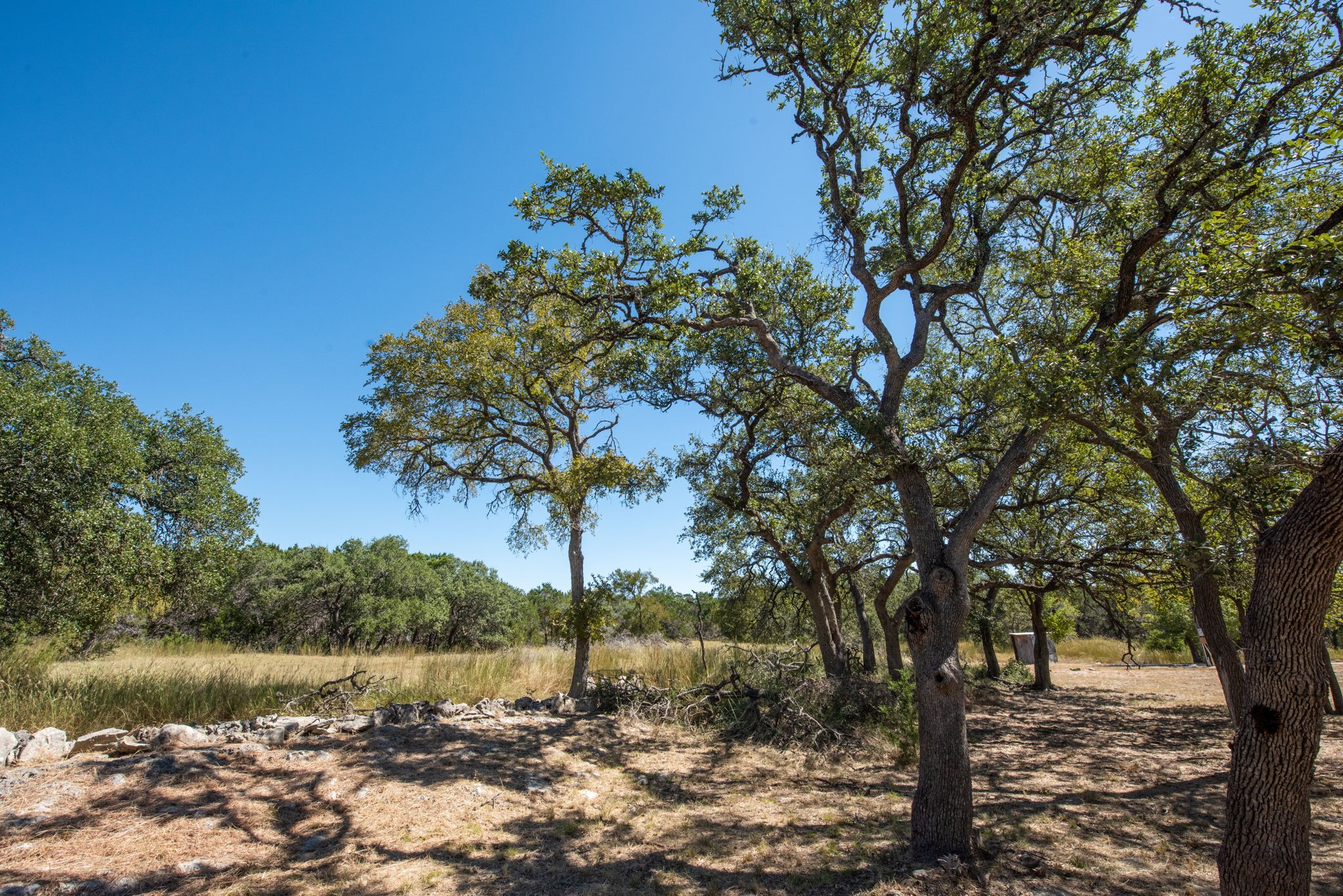 840 Forest View Drive Blanco, TX 78606 - Photo 21 of 32 a view of lake