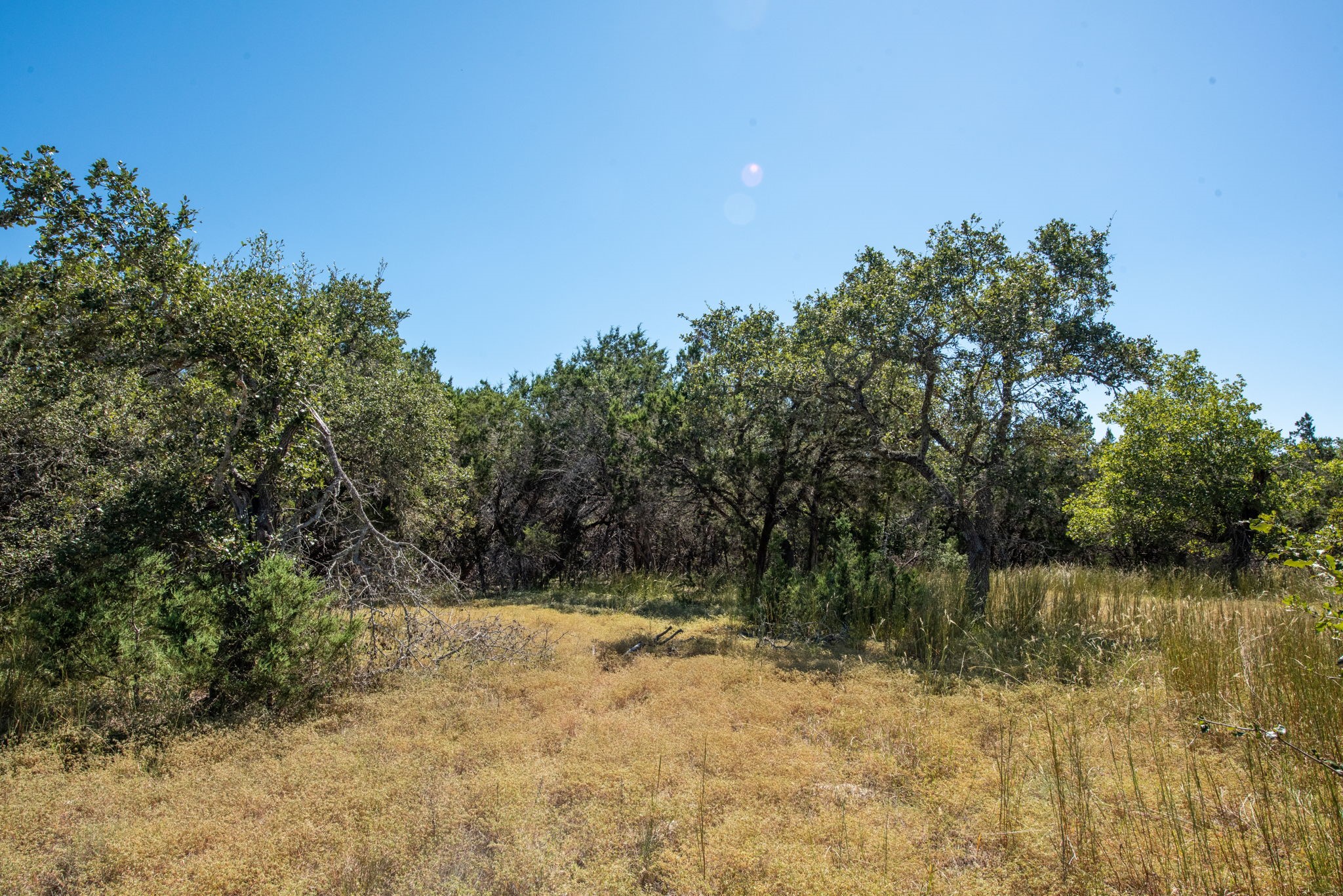 840 Forest View Drive Blanco, TX 78606 - Photo 25 of 32 a view of lake with green space