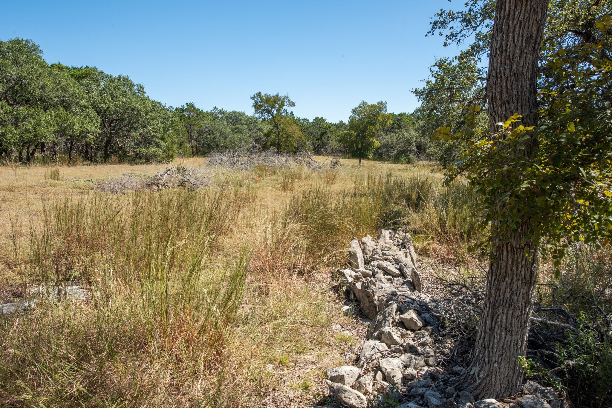 840 Forest View Drive Blanco, TX 78606 - Photo 27 of 32 a view of a lake with lots of trees