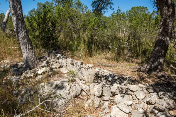 a view of a yard with a tree