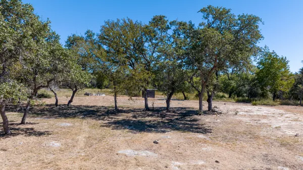 a view of a yard with a tree