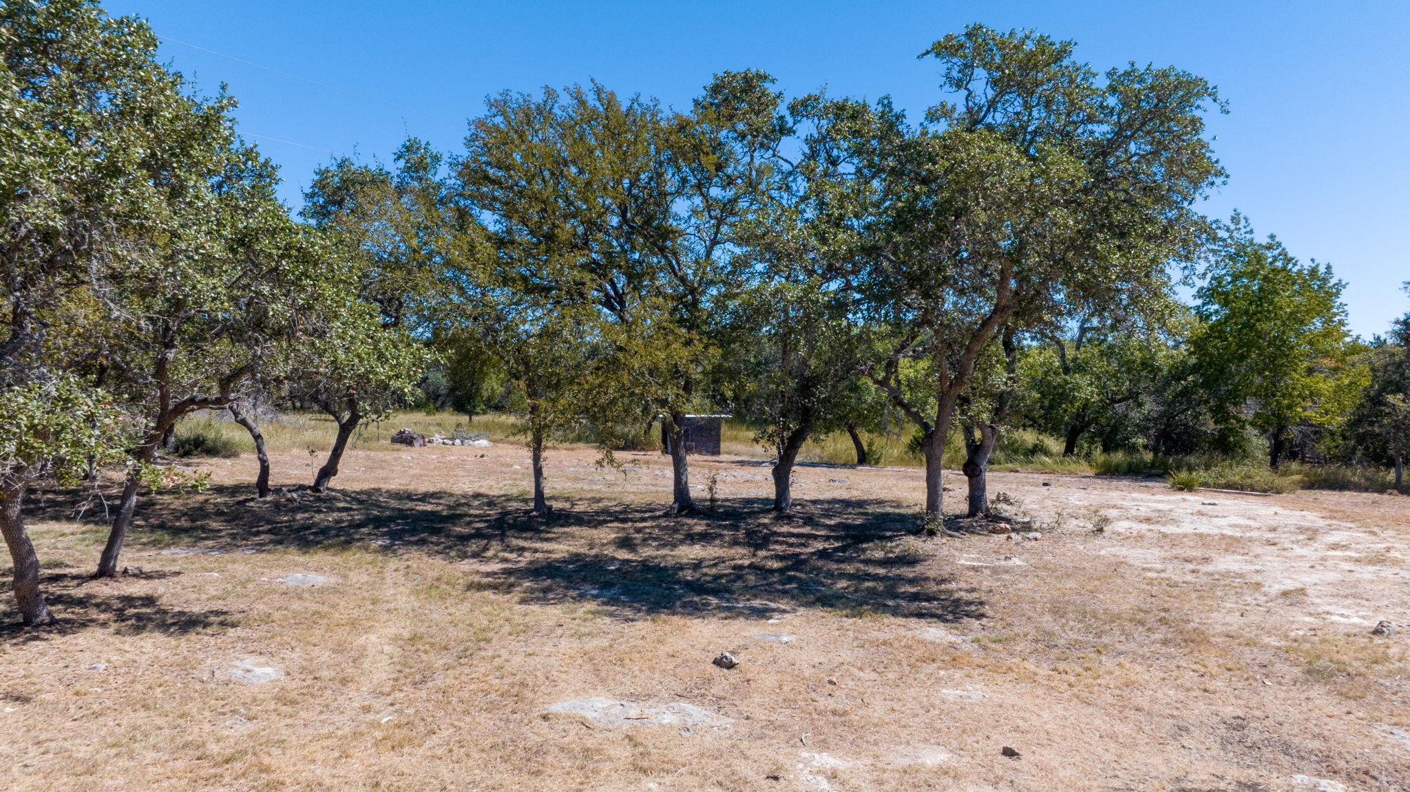 840 Forest View Drive Blanco, TX 78606 - Photo 7 of 32 a view of a yard with a tree