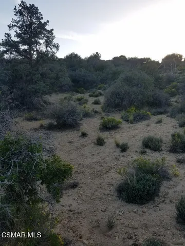 a view of a city with lush green forest