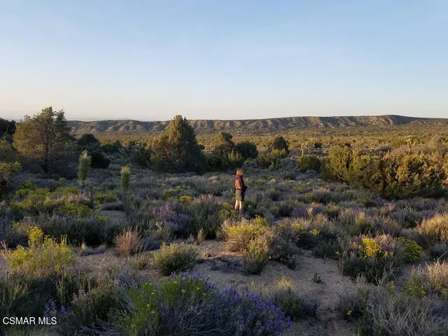 a view of a mountain in the distance in a field