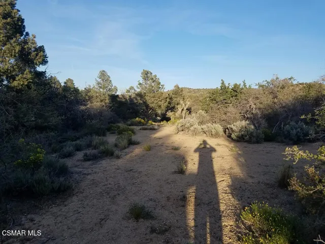 a view of a dry field with trees in background