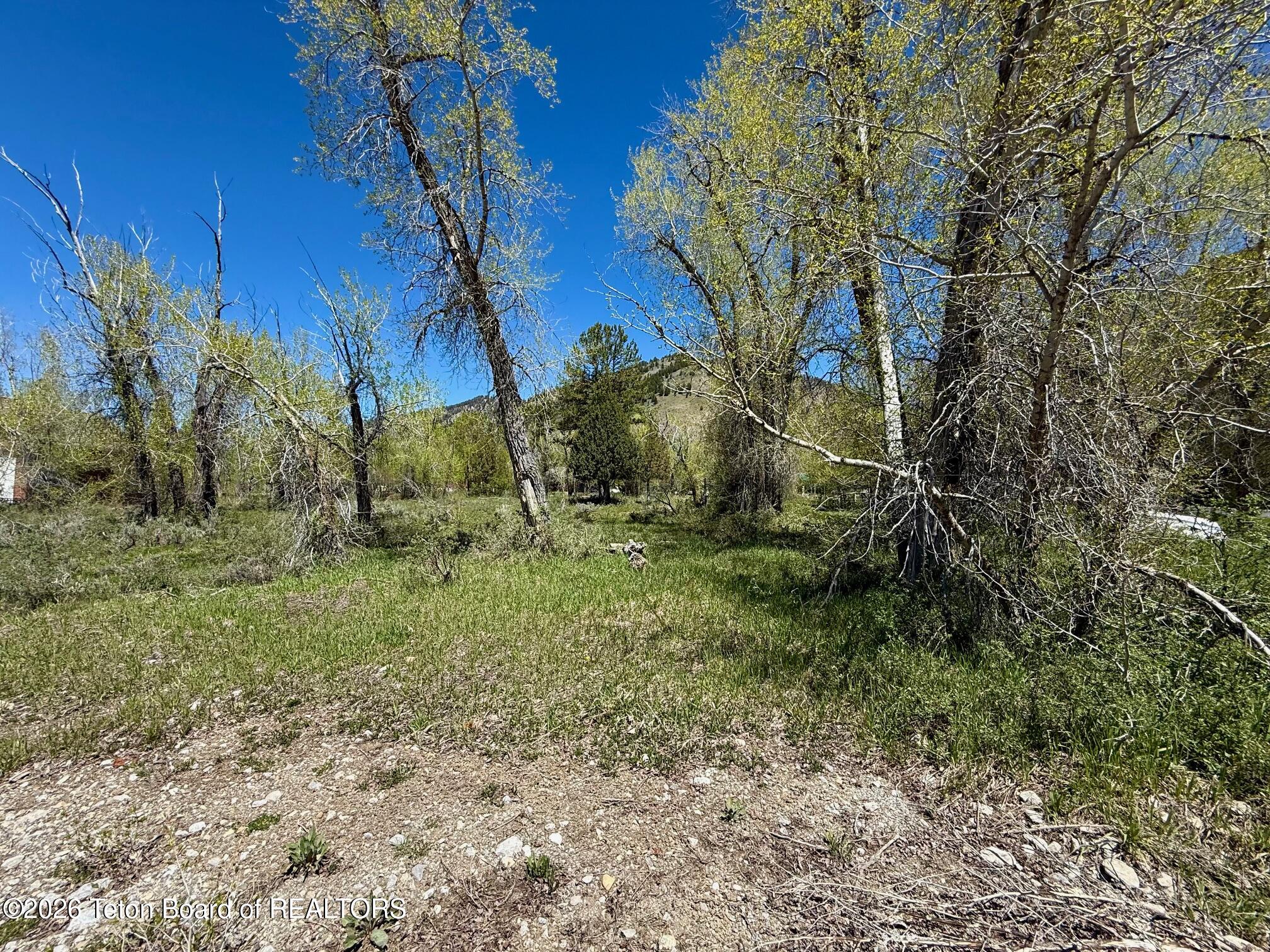 Lot 157 Paintbrush Court Star Valley Ranch, WY 83127 - Photo 2 of 4 IMG_3893