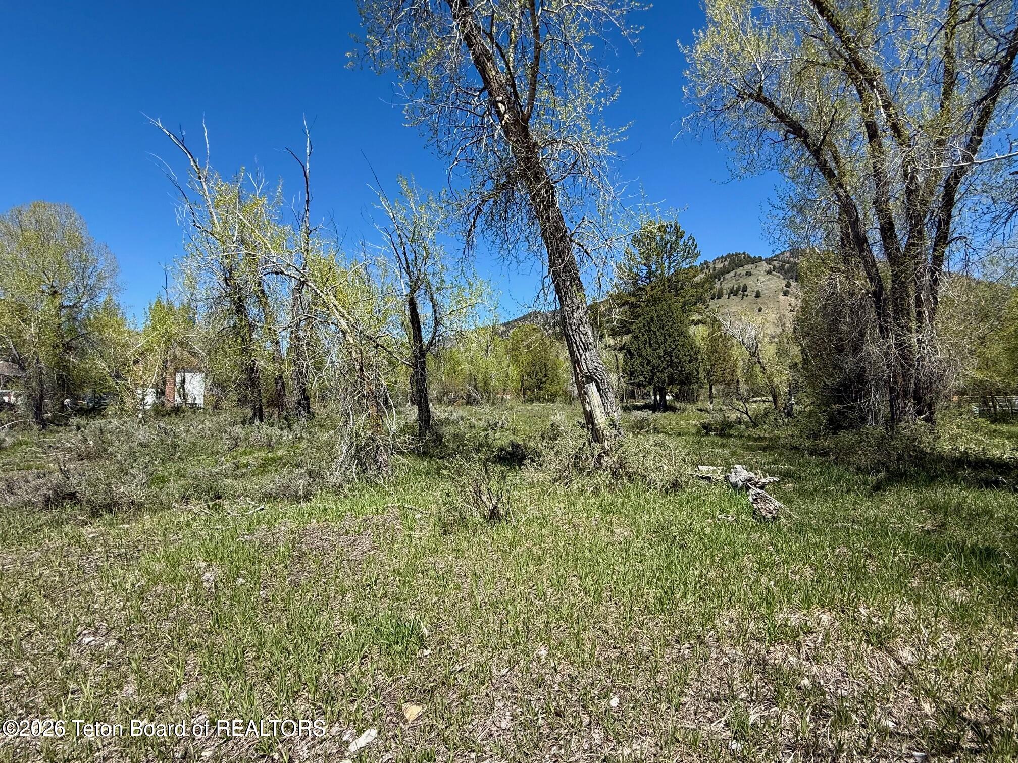 Lot 157 Paintbrush Court Star Valley Ranch, WY 83127 - Photo 3 of 4 IMG_3892