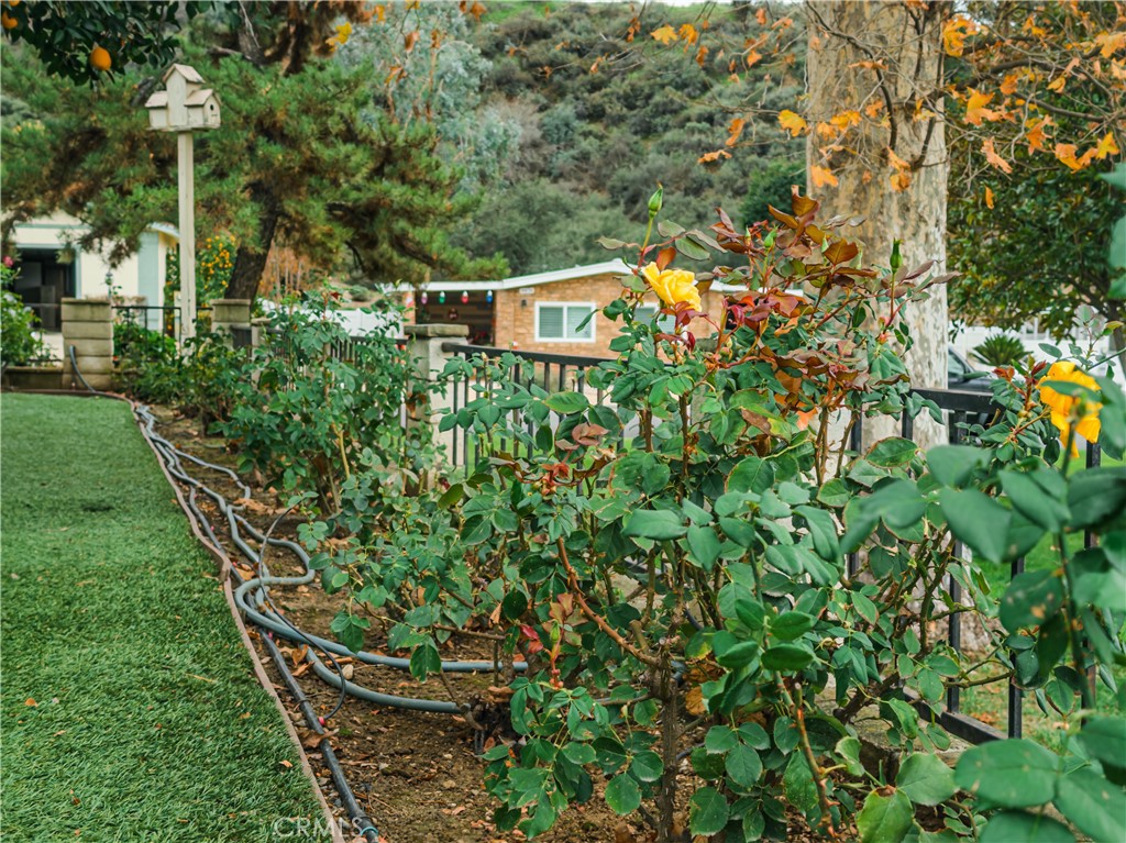 9465 Sharon Way Calimesa, CA 92320 - Photo 11 of 21 a view of a backyard with plants