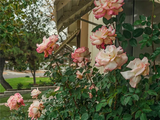 $355,000 | 9465 Sharon Way, Calimesa, CA 92320