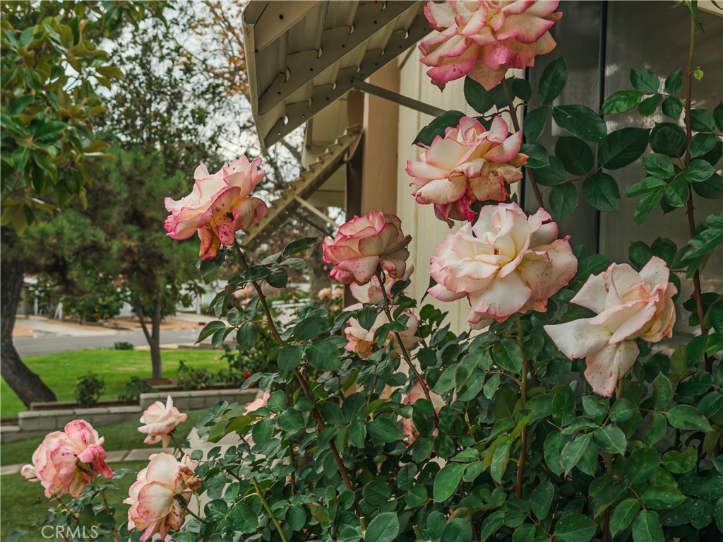 9465 Sharon Way Calimesa, CA 92320 - Photo 8 of 21