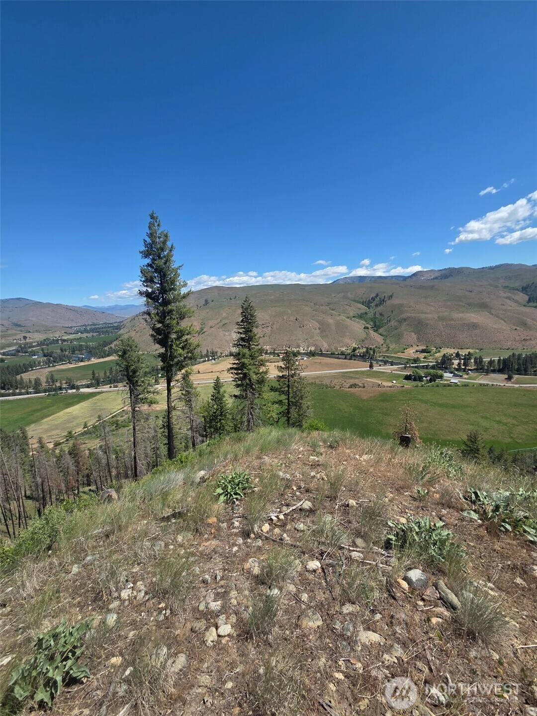 -xxx Gold Creek Loop Road Carlton, WA 98814 - Photo 12 of 14 a view of a field with an ocean view