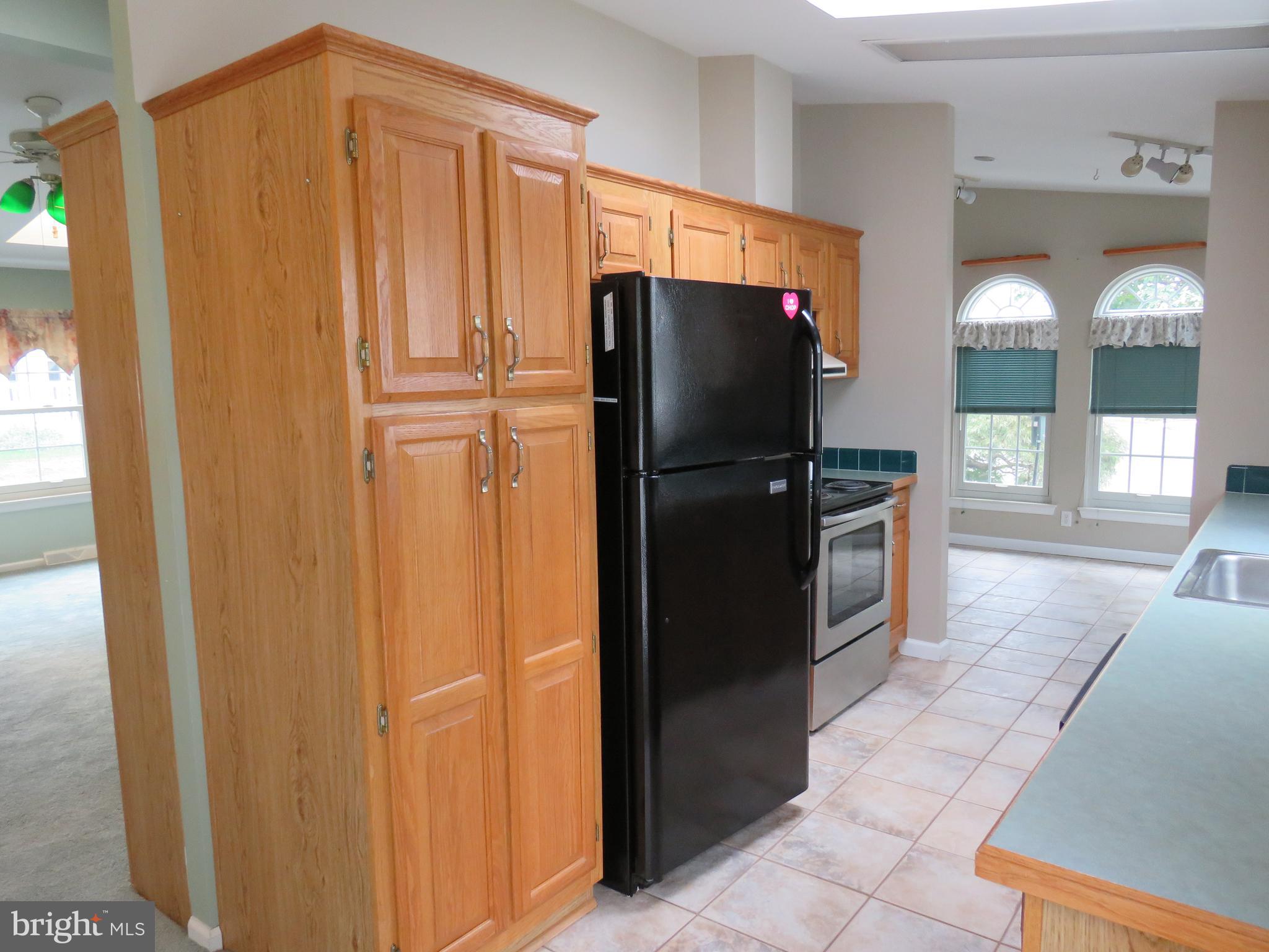 377 Spring Meadow Circle New Hope, PA 18938 - Photo 17 of 40 Kitchen with pantry