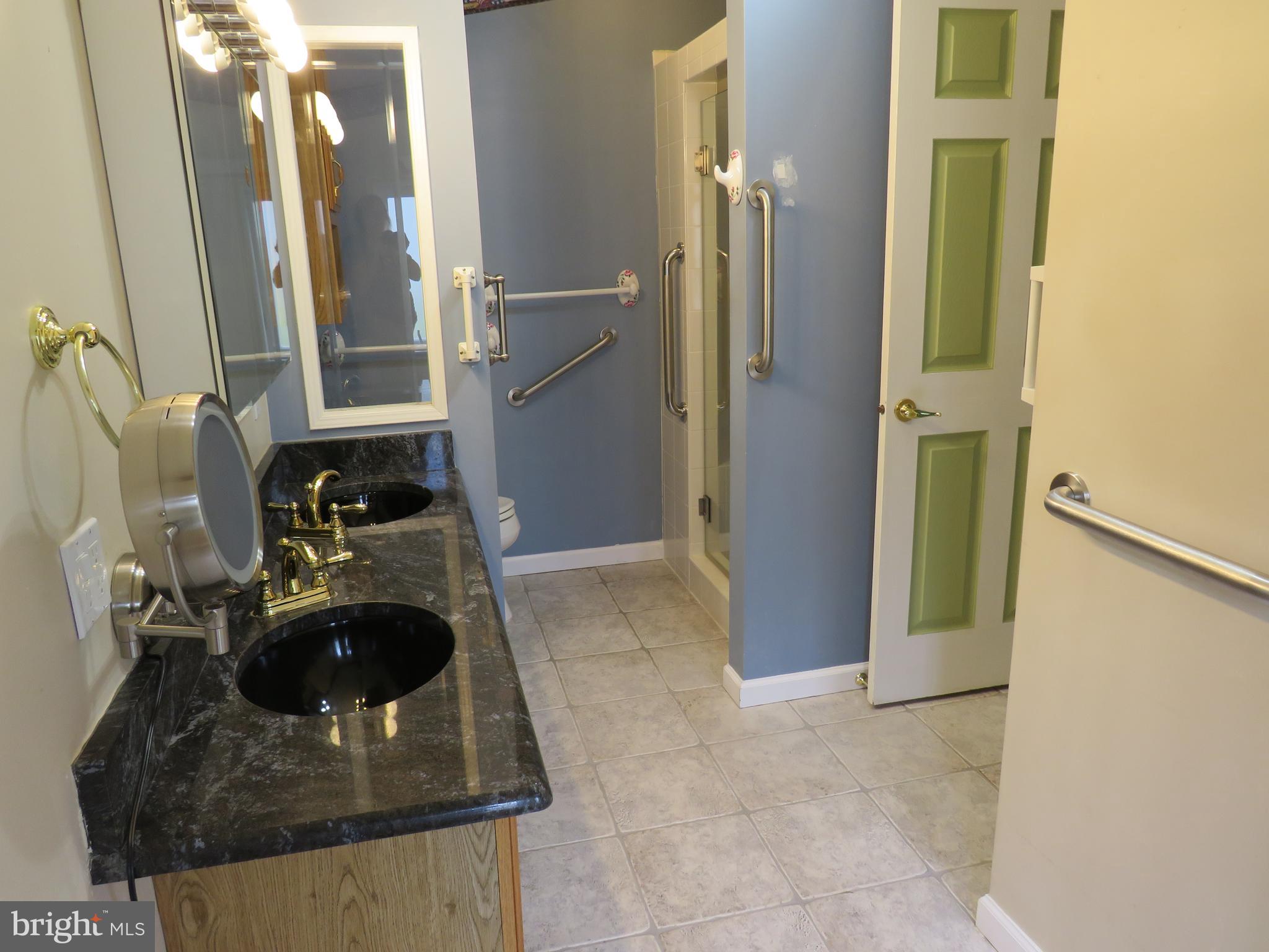 377 Spring Meadow Circle New Hope, PA 18938 - Photo 27 of 40 Primary Bathroom