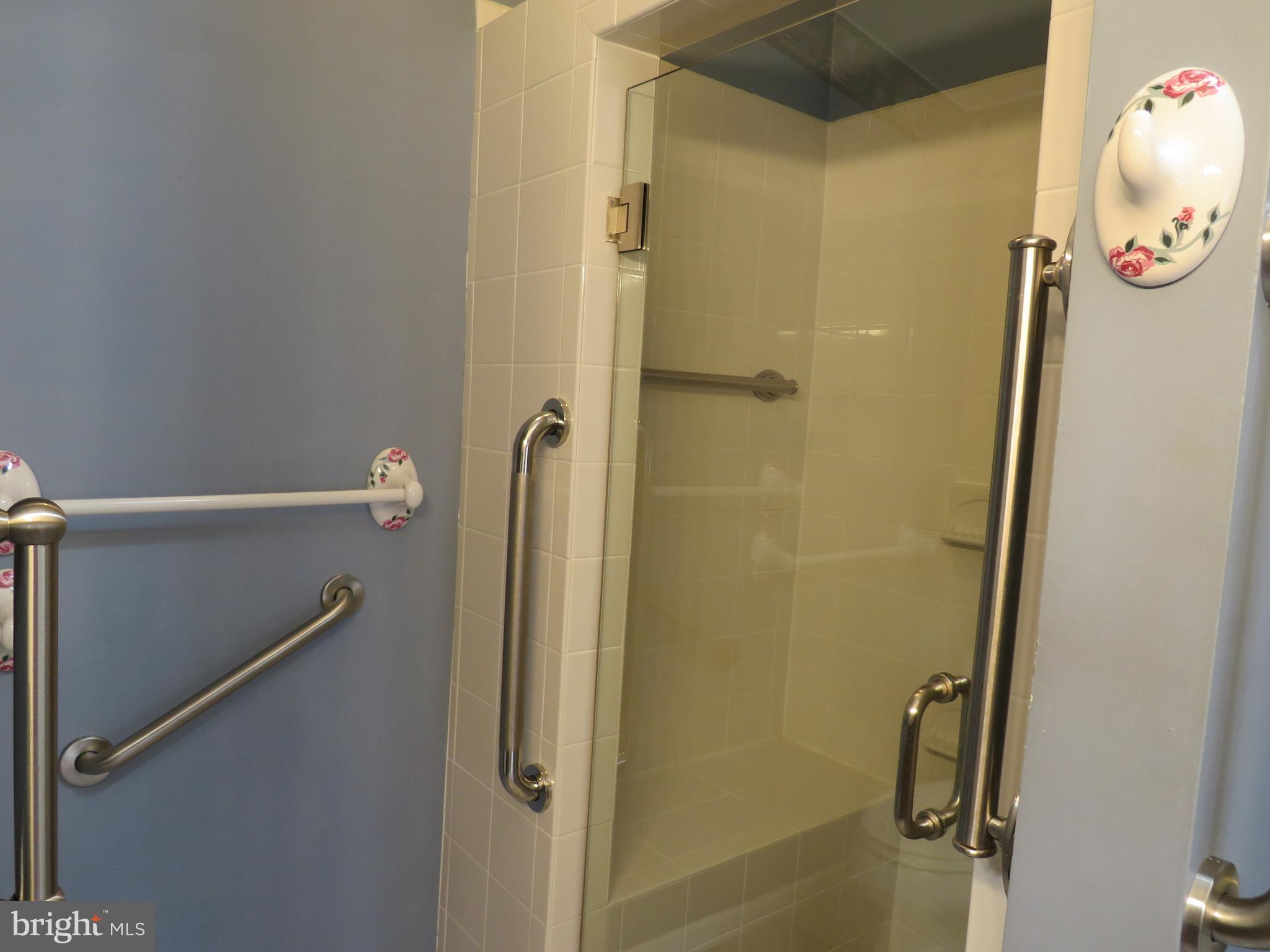 377 Spring Meadow Circle New Hope, PA 18938 - Photo 29 of 40 Shower Stall