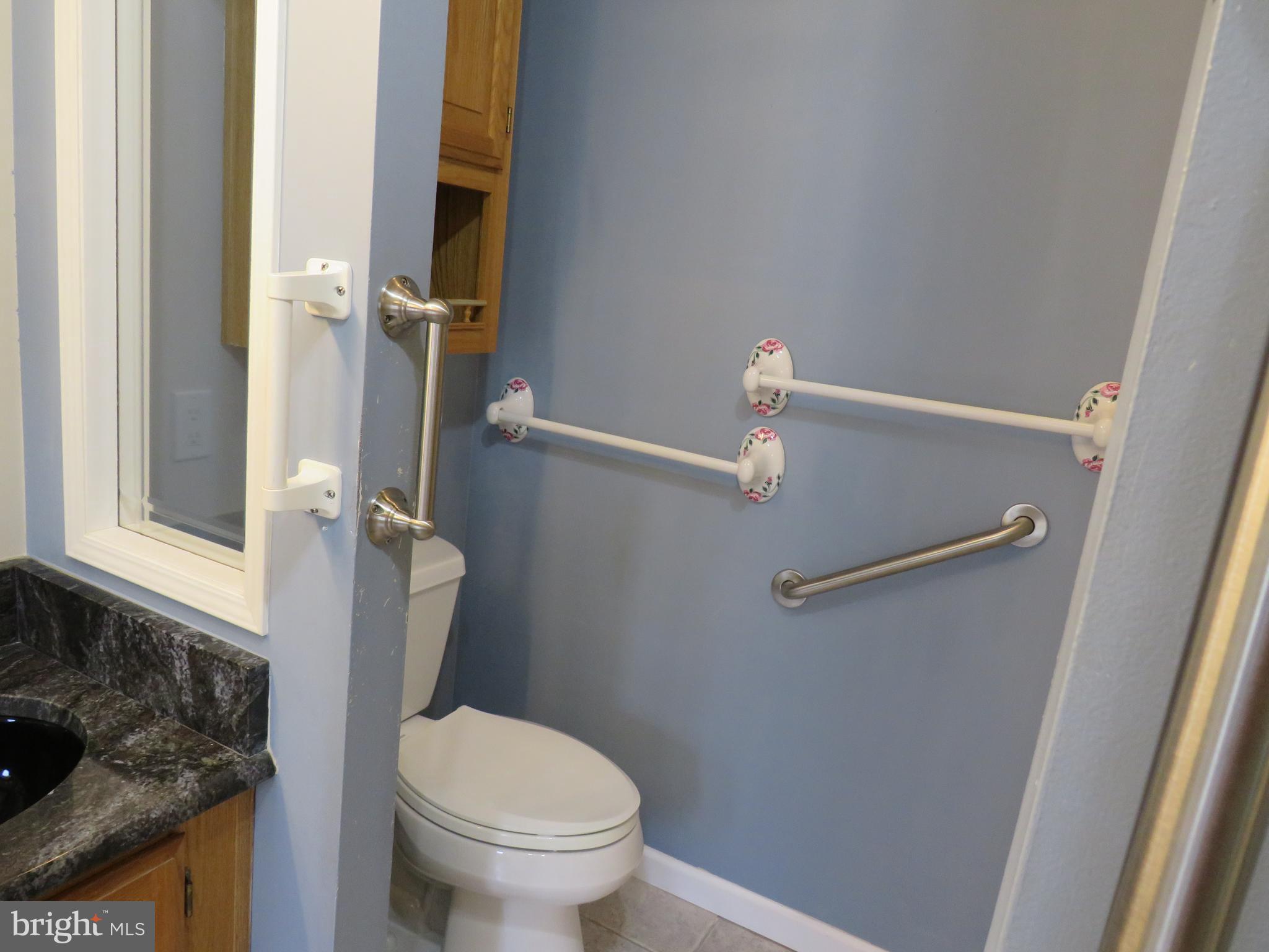 377 Spring Meadow Circle New Hope, PA 18938 - Photo 31 of 40 Primary Bathroom