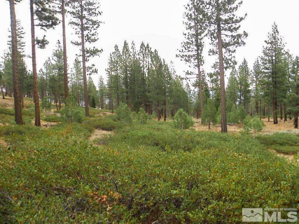 0 Kings Canyon Road Carson City, NV 89703 - Photo 6 of 11 Photo 6