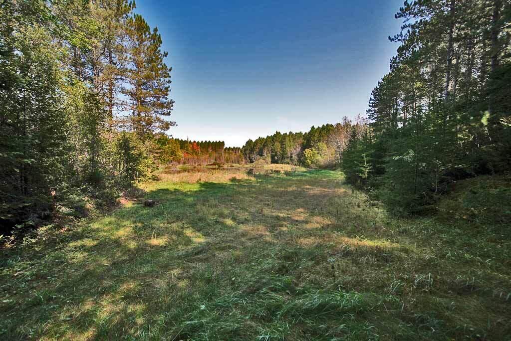 Lot 5.1 Off Ludlow Road Houlton, ME 04730 - Photo 21 of 43 tree-plantation-pine-land