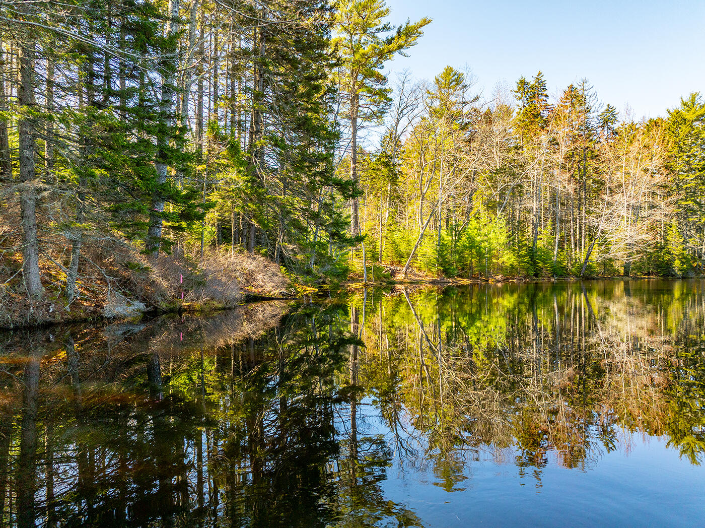 25 Deaver Road Waldoboro, ME 04572 - Photo 3 of 14 Frontage Ice pond