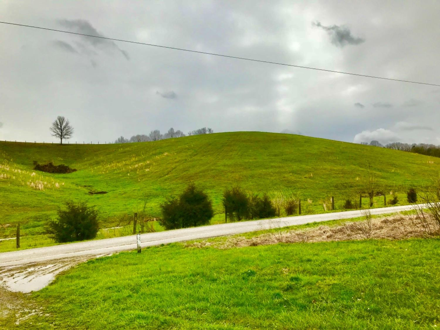 2846 Rutland Road Cynthiana, KY 41031 - Photo 2 of 11 Photo 2
