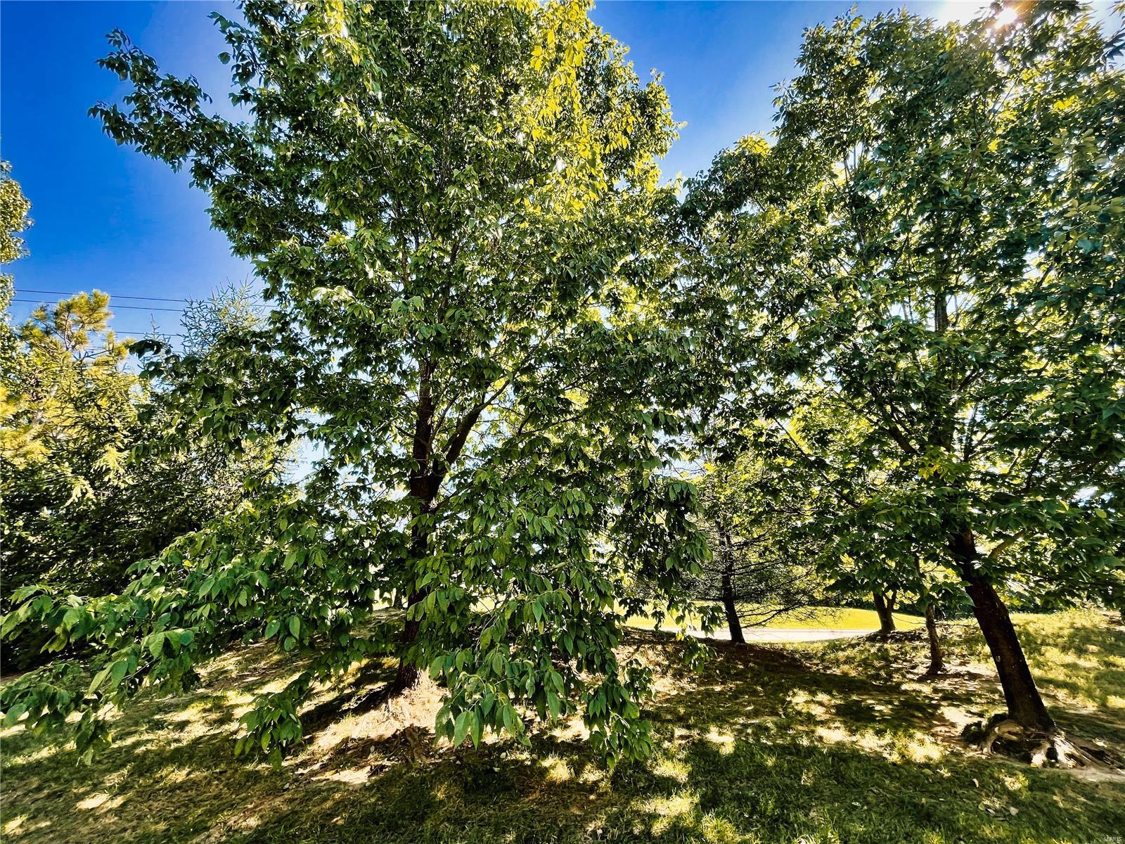 108 Summit Ridge Maryville, IL 62062 - Photo 36 of 36 Gallery Image 36