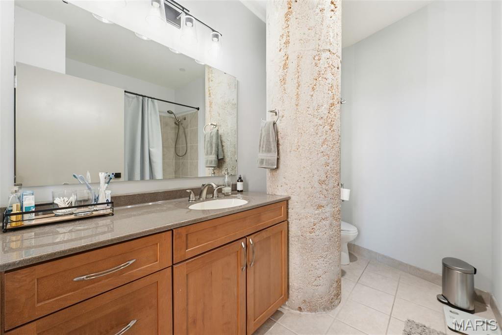 1627 Locust Street, Unit 305 St. Louis, MO 63103 - Photo 14 of 35