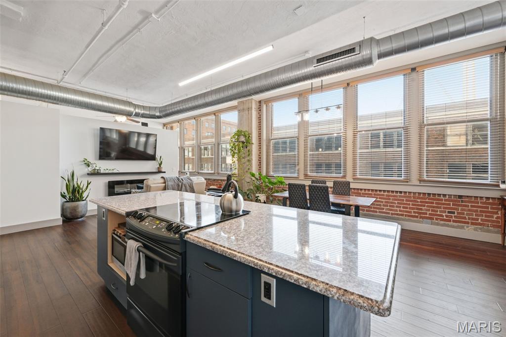 1627 Locust Street, Unit 305 St. Louis, MO 63103 - Photo 5 of 35