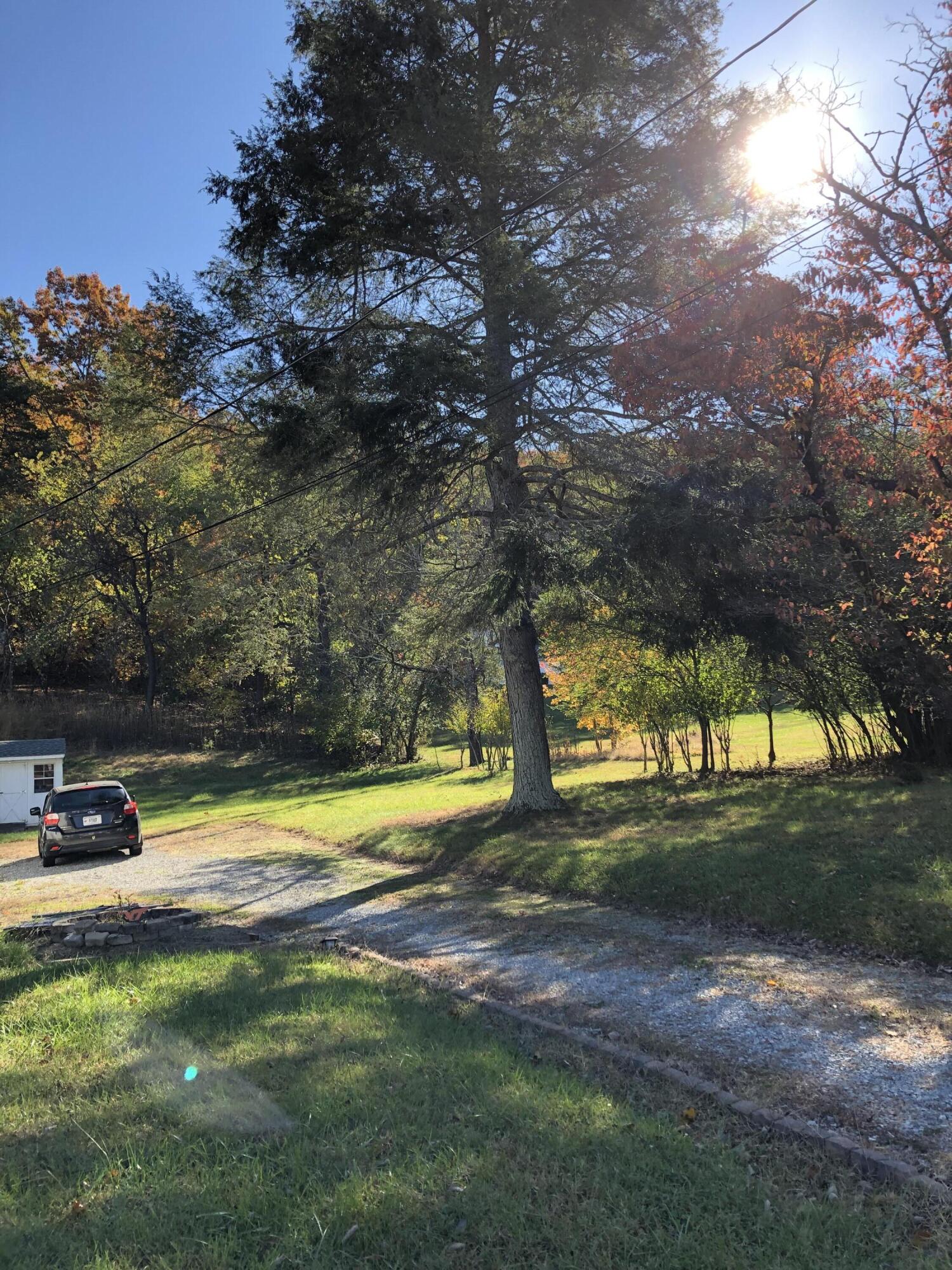 3716 Ventnor Road Southeast Roanoke, VA 24014 - Photo 24 of 26 a view of swimming pool and trees in the background