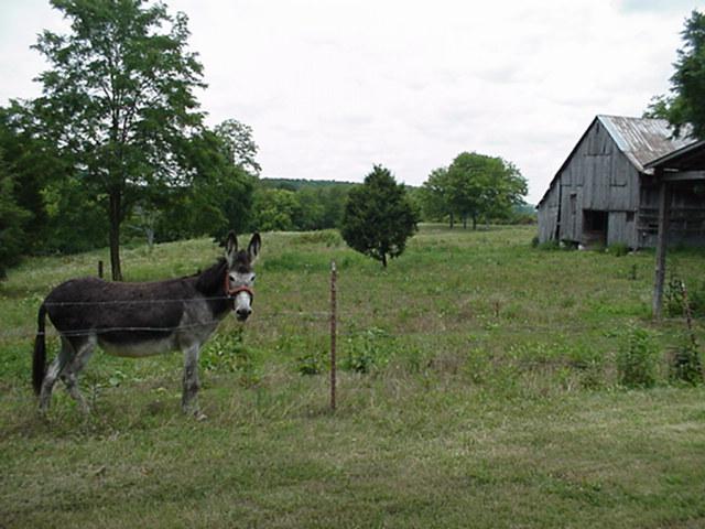 277 Grant Road Gordonsville, TN 38563 - Photo 3 of 20 Gallery Image 3