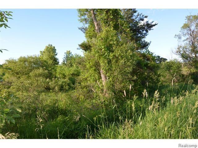 Vacant Rattalee Lake Road Fenton, MI 48430 - Photo 2 of 7