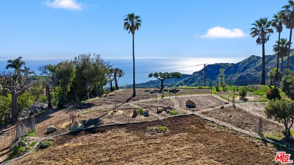 a view of a backyard with plants