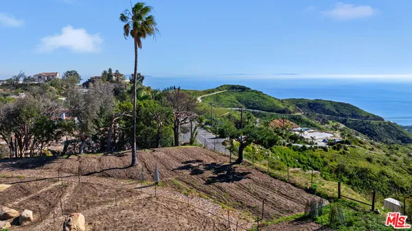 a view of a backyard with a garden